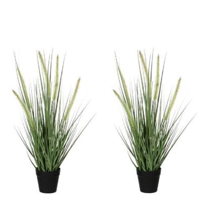 Mica Decorations Kunstplant Siergras - 2x - dogtail - D30 x H53 cm - in zwarte pot