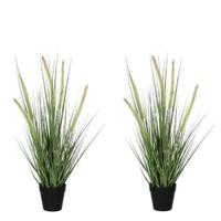 Mica Decorations Kunstplant Siergras - 2x - dogtail - D30 x H53 cm - in zwarte pot