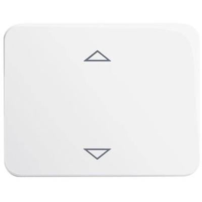 Busch-Jaeger 6430-24G-102 Ingangsmodule ↑/↓ Wit, Verkeerswit 1 stuk(s)