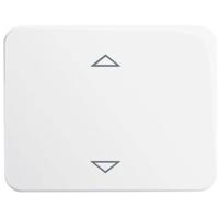 Busch-Jaeger 6430-24G-102 Ingangsmodule ↑/↓ Wit, Verkeerswit 1 stuk(s)