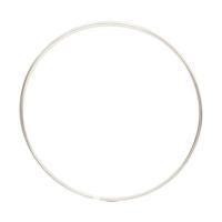 HULA HOOP STAINLESS STEEL EMPTY