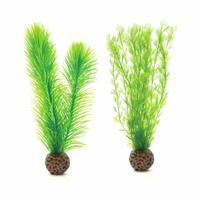 Mannetjesvaren set klein groen - Biorb