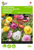Helichrysum Bract. Monst. Tom Thumb Gemengd - Buzzy