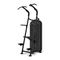 Vision Fitness chin/dip assist