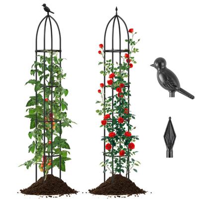 2-Delige Set Obelisk Klimrek van Gecoat Metaal met 4 Koppen & 4 Verstelbare Hoogtes Klimrooster