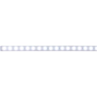 Paulmann MaxLED 70664 LED-strip uitbreidingsset Met connector (male) 24 V 1 m Daglichtwit
