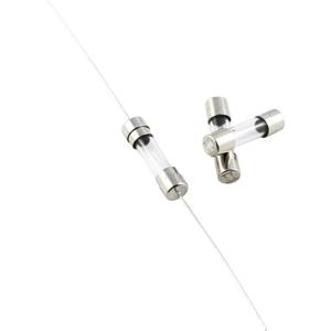 ESKA 522.417 522417 Buiszekering (Ø x l) 5 mm x 20 mm 1 A 250 V Supertraag -TT- Inhoud 10 stuk(s)