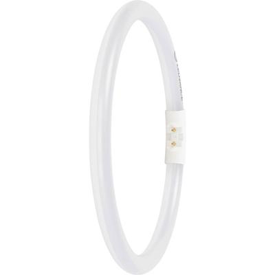 LEDVANCE LED-buis-Buis Energielabel: D (A - G) T5 11.6 W Daglichtwit 1 stuk(s) (Ø x l) 16.50 mm x 225.00 mm