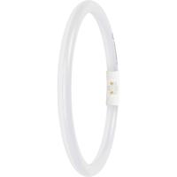 LEDVANCE LED-buis-Buis Energielabel: D (A - G) T5 11.6 W Daglichtwit 1 stuk(s) (Ø x l) 16.50 mm x 225.00 mm