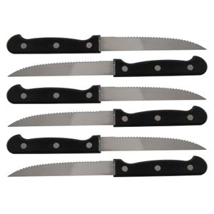 Set van 12x stuks steakmessen/vleesmessen bestek 21.5 cm