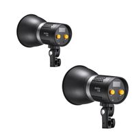 Godox ML30 Duo LED Light Kit