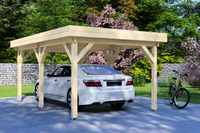 Carport 300x500 cm plat dak - Van Kooten