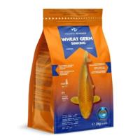 Aquatic Science Wheat Germ Sinking Small - Zinkend Visvoer 2kg, Rijk Aan Vitaminen voor Siervissen Aquatic Science Wheat Germ Sinking Small - Zinkend Visvoer 2kg, Rijk Aan Vitaminen voor Siervissen