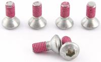 TRW Screw 6pcs. 11x17mm