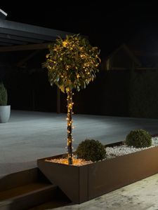 Konstsmide 3642-810 Micro-lichtketting Buiten Energielabel: G (A - G) werkt op het lichtnet Aantal lampen 240 LED Barnsteen Verlichte lengte: 19.12 m