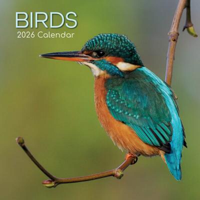 Vogel Kalender 2026