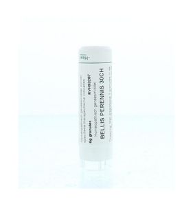 Bellis perennis 30CH