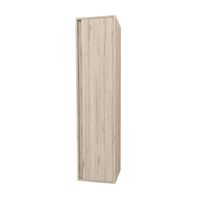 Kolomkast BWS Sally 160 cm 1 Deur Licht Hout