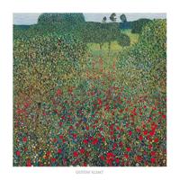 Kunstdruk Gustav Klimt - Campo di papaveri - 70x70cm