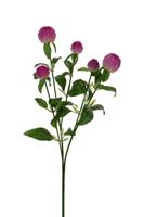 Distel l65cm cerise kunstbloem Louis Maes - Louis maes