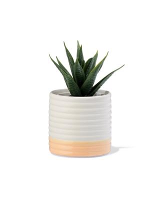HEMA Bloempot 7.1x7x9.9cm Keramiek Ribbel Crème (creme)