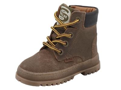 Develab Veterboot