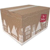 Kerstpakketdoos (C) 390x290x232mm dessin HUISJES 2025 per stuk