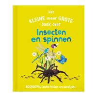 Rebo Publishers Het kleine maar grote boek over? insecten spinnen