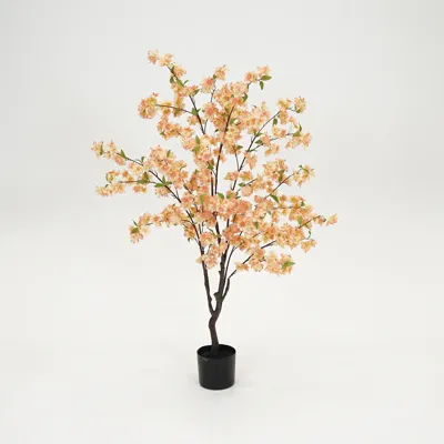 Kersenbloesemboom h135cm perzik Kersenbloesemboom h135cm perzik