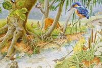 By The Riverbank Puzzel 250 Stukjes XL