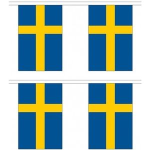 2x Stoffen vlaggenlijnen Zweden 3 meter   -