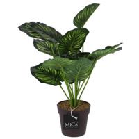 Mica Decorations kunstplant calathea in pot groen 40 cm Mica Decorations kunstplant calathea in pot groen 40 cm