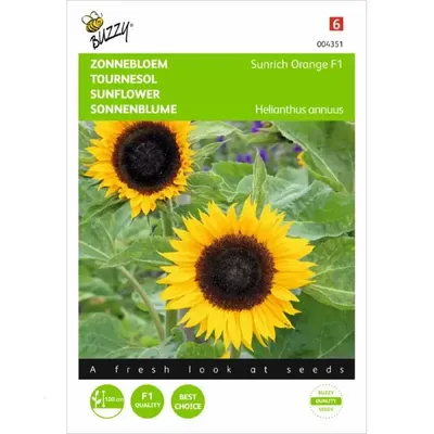 Helianthus, Zonnebloem Sunrich Orange F1