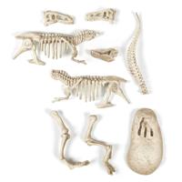 Clementoni wetenschap & spel archeospel t-rex fluo