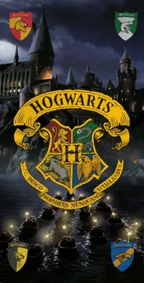 Harry Potter Strandlaken - Zweinstijn - 70 x 140 cm