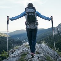 2-Pack Uitschuifbare Wandelstokken Trekkingstokken Nordic Walking Stokken Telescopische Trekkingstokken Verstelbaar - thumbnail