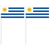 Handvlag Uruguay 12 x 24 cm