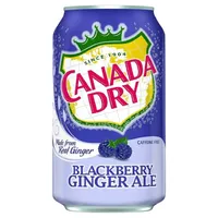 Canada Dry Canada Dry - Blackberry Ginger Ale 355ml