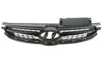 Radiateurgrille 6502073171990P