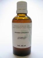 Natura Sanat Zingiber officinalis rhiz/gember tinctuur bio