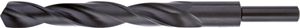 Rotec HSS Spiraalboor DIN 338 (Schacht=10) 12,5 mm - 1211250