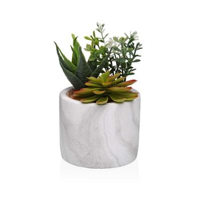 Decoratieve plant Versa Keramisch Plastic Fusion Vetplant 9 x 15 x 9 cm