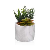 Decoratieve plant Versa Keramisch Plastic Fusion Vetplant 9 x 15 x 9 cm