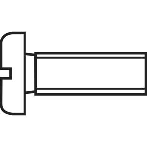 TOOLCRAFT 815934 Cilinderschroeven M6 40 mm Sleuf DIN 84 Kunststof, Polyamide 10 stuk(s)