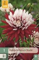 Dahlia Rebeccas world