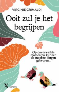 Ooit zul je het begrijpen - Virginie Grimaldi - ebook