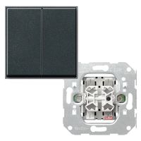 Gira TX 44 serieschakelaar met drukknop antraciet