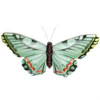 Pro Garden Wanddecoratie vlinder - groen - 49 x 34 cm - metaal - muurdecoratie / schutting / tuin