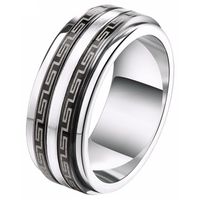 Heren ring Spinning Greek Titanium