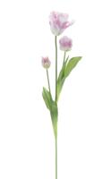 PSO Parrot tulip spray Sally lavender 71 cm kunstbloem Erutan Avon - Erutan avon